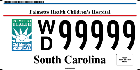 Palmetto Children's Hospital